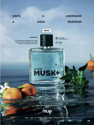 Catálogo Avon Ciclo 9 2026 - Brasil  103