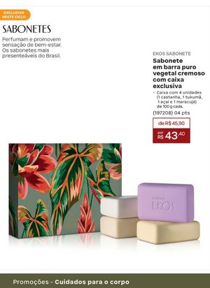 Revista Natura Ciclo 17 2026 - Brasil  241